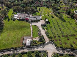 3706 Villa Floras by Perle di Puglia