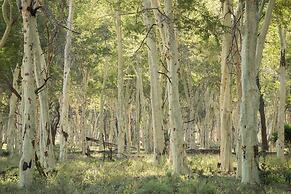 Hutwini Walking Camp by RETURN Africa