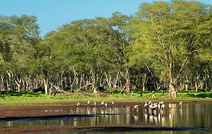 Hutwini Walking Camp by RETURN Africa