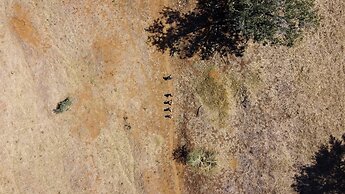 Hutwini Walking Camp by RETURN Africa