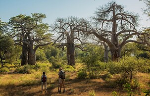 Hutwini Walking Camp by RETURN Africa