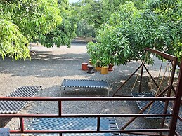 Dev Farm Sasan Gir