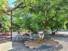 Dev Farm Sasan Gir