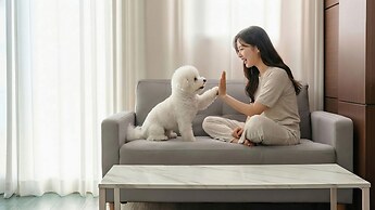Geoje Blueberry Pet Pension