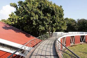 Lychee Bagh