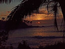 Surf Paradise Hotel
