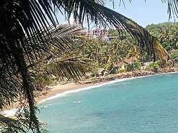 Surf Paradise Hotel