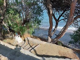 Maeiz Skopelos