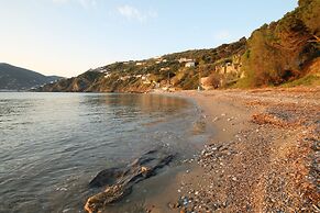 Maeiz Skopelos
