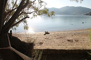 Maeiz Skopelos