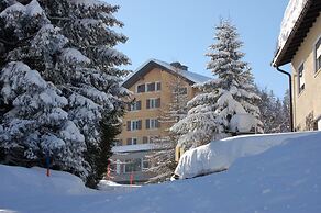 Hotel Alpina Parpan