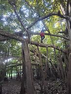 Hospedaje  Reina Arriera Amazonas