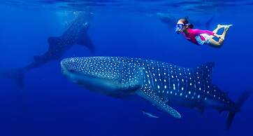 Madi Grand Maldives