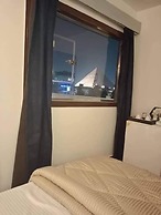 Nefertiti Pyramids View