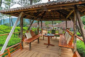 Zostel Plus Wayanad