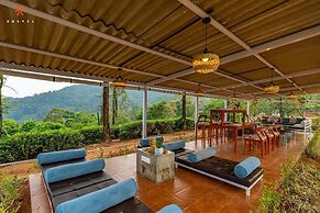 Zostel Plus Wayanad