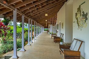 Zostel Plus Wayanad