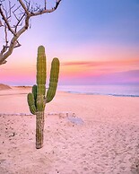 Park Hyatt Cabo Del Sol
