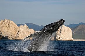 Park Hyatt Cabo Del Sol