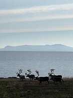 Ekker Island Arctic Lodge