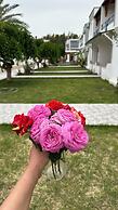 Atalay Apart Otel