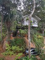Tree Nature Resort