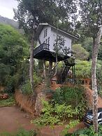 Tree Nature Resort