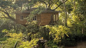 Tree Nature Resort