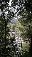 Tree Nature Resort