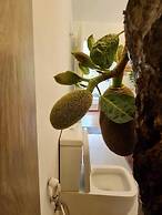 Tree Nature Resort