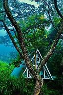 Tree Nature Resort