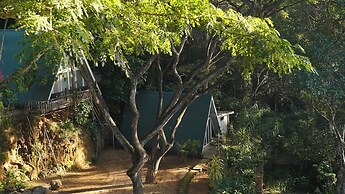 Tree Nature Resort