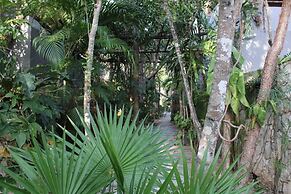 Kuun Taak Tulum
