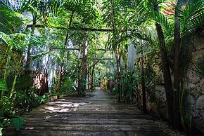 Kuun Taak Tulum