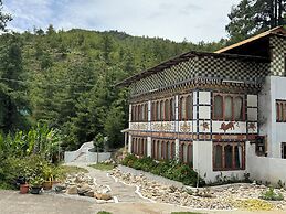 Dzi Pema