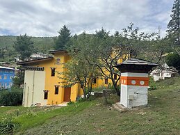 Dzi Pema