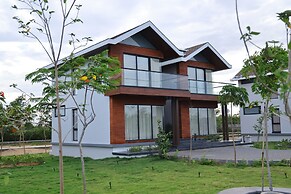 LA PALMERA