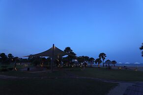 LA PALMERA