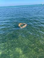 Conch Club Cottage