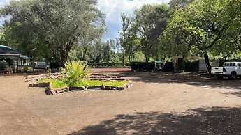 Jungle Green Resort - Kiutine
