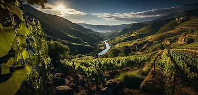 Torel Quinta da Vacaria - Douro Valley