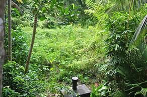 Jungle Fence