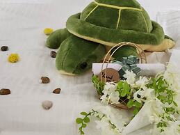 Casa De Turtle