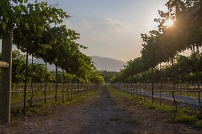 Pueblo Vinícola Parvada by Lumina