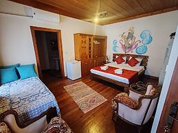 Taş konak Manolya