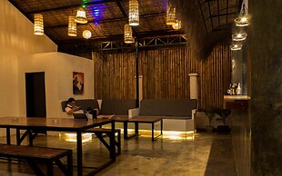 Wild Monkeys Hostel