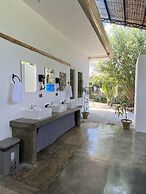 Wild Monkeys Hostel