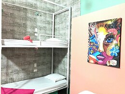 la viduka Hostel s.a.s