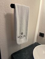 MOLEN ALAÇATI