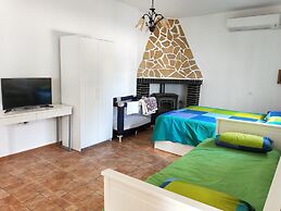 Studio Tropical